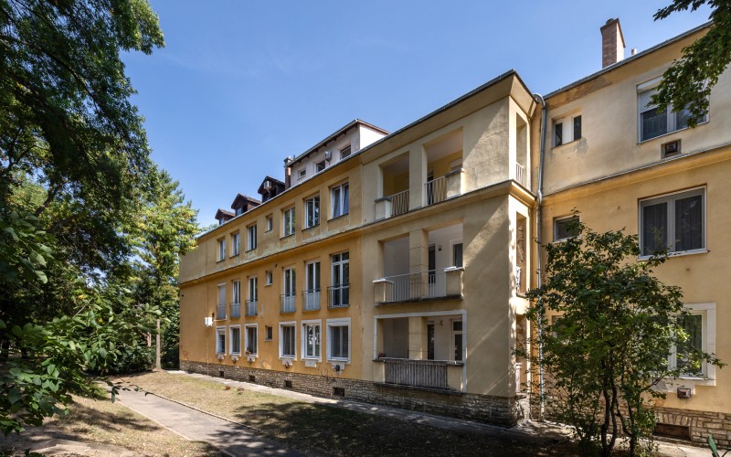 Wachsler Vica