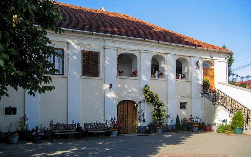 Bagolyvár_Borossay Katalin MÉM MDK 2011