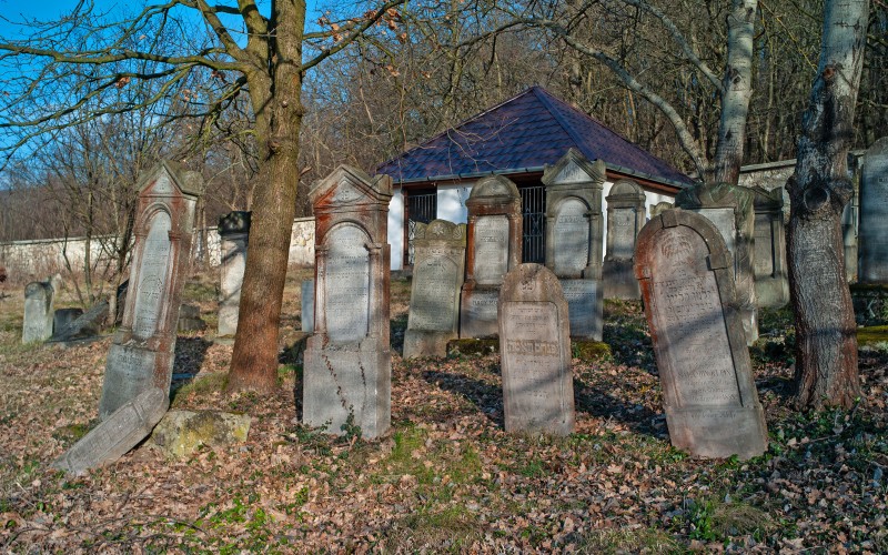 A zsidó temető sírkövei. Fotó: F. Tóth Gábor