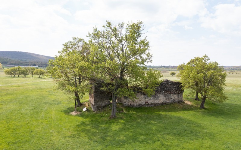 fotó: F. Tóth Gábor