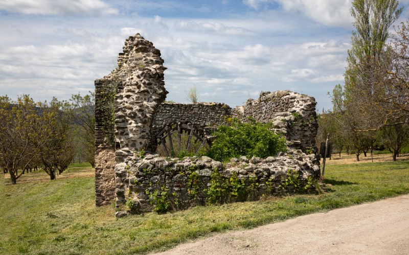 fotó: Nagy Krisztina