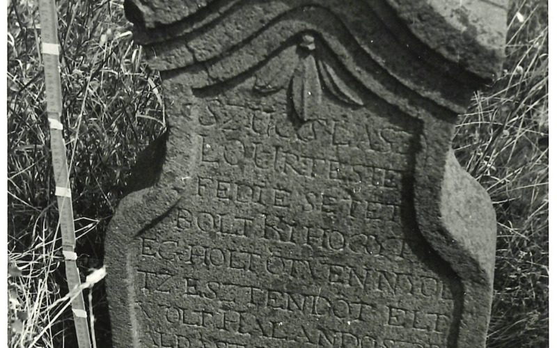 0006_20240926151847559