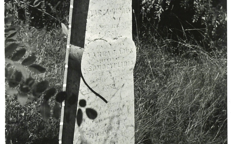 0010.2_20240926151847559