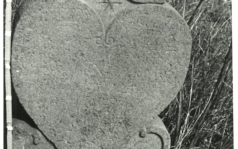 0010_20240926151847559