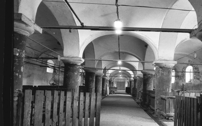 Ozora, Kula-puszta, Esterházy-méntelep, istálló, Csejdy Júlia, 2000, ltsz.: 227.162N